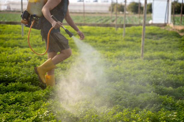 Best Pest Prevention Services  in Camp Croft, SC
