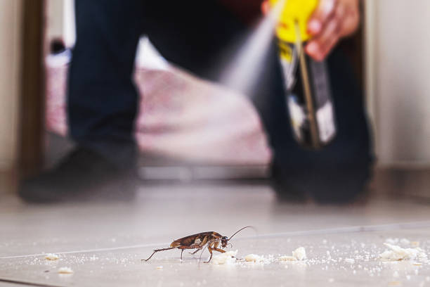 Professional Pest Control in Camp Croft, SC