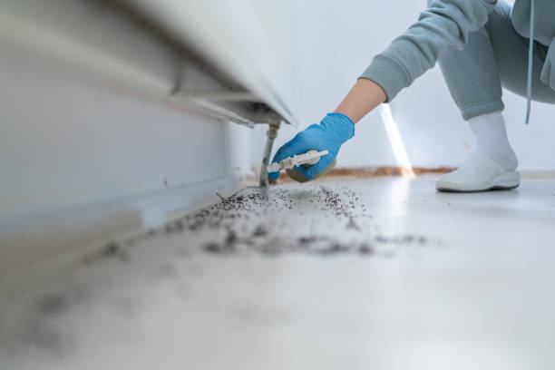 Best Pest Prevention Services  in Camp Croft, SC